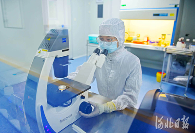 河北保定:借智北京 建设干细胞类重点实验室