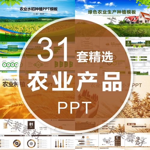 022ppt农业果蔬招商ppt模板产品项目介绍生态绿色粮食生物科技